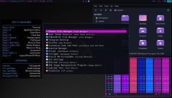 Conheça o Projeto HASH LINUX com XMONAD - REVIEW